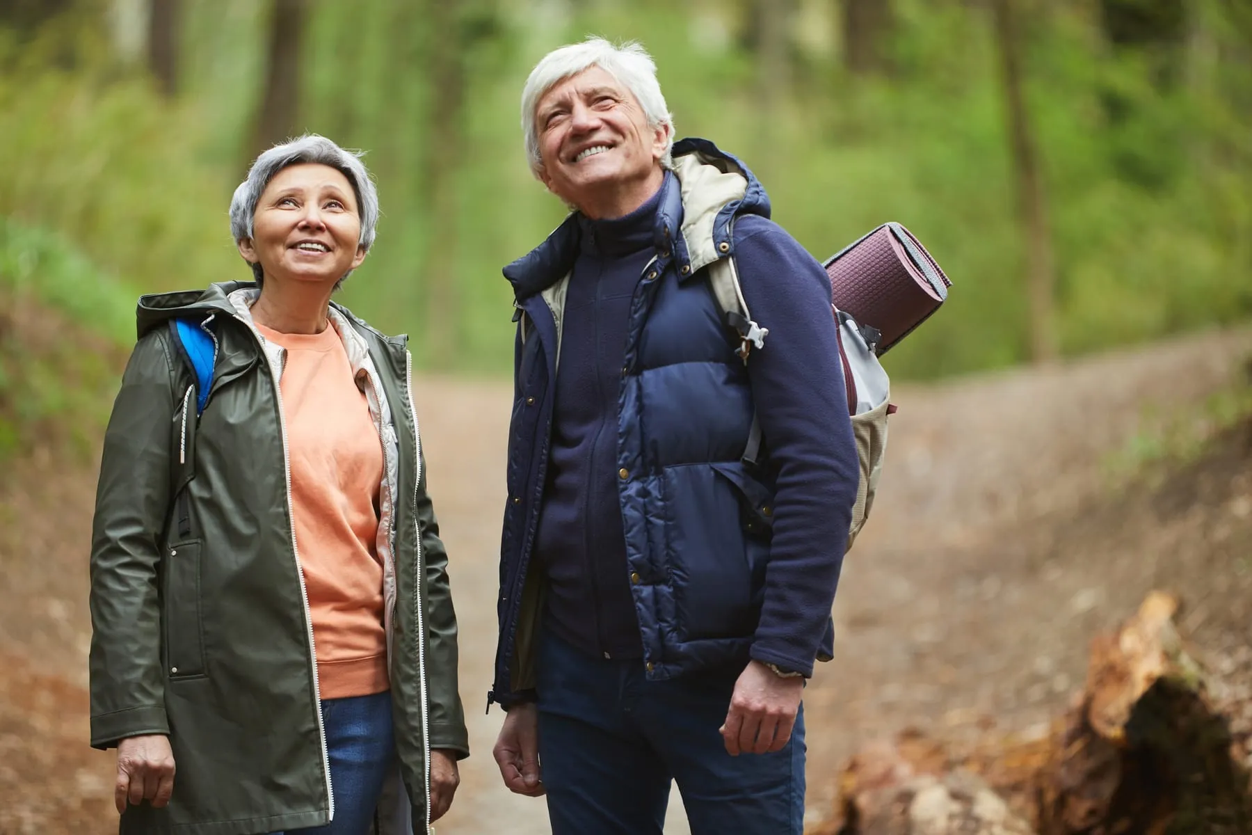 An older couple hiking together on a forest trail